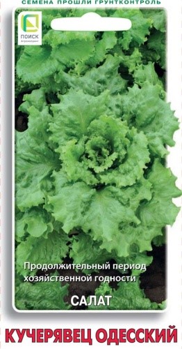 Салат Кучерявец одесский 0,5гр Листок