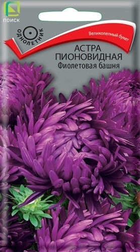 Астра пионовидная Фиолетовая башня 0,3гр Поиск