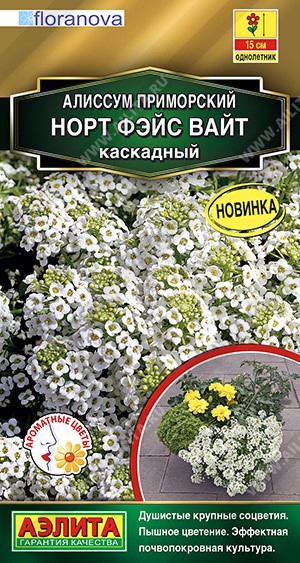 Алиссум Норт фэйс вайт каскадный 10шт Аэлита