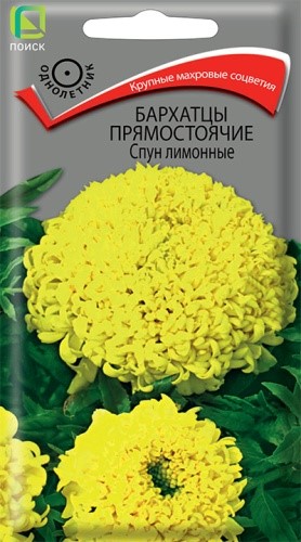 Бархатцы Спун лимонные прямостоячие 0,1гр Поиск