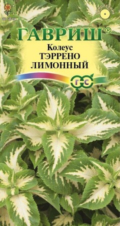 Колеус Тэррено лимонный 4шт ГШ