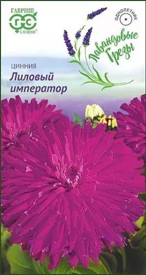 Цинния Лиловый император 0,2 г, (Гавриш)