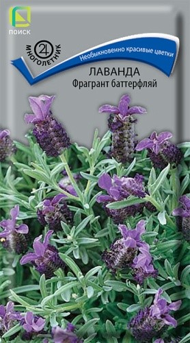 Лаванда Фрагмент баттерфляй 20шт Поиск