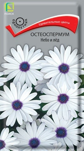 Остеоспермум Небо и лёд 0,1гр Поиск