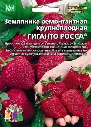 Земляника Гиганто Росса 10шт УД