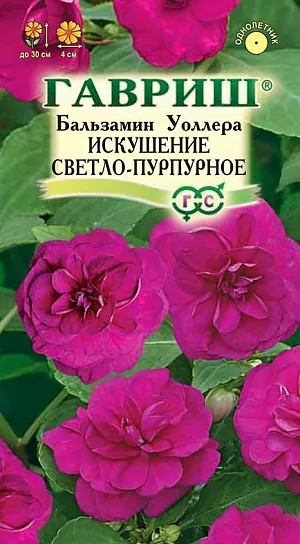 Бальзамин Уоллера Искушение светло-пурпурное 4шт ГШ