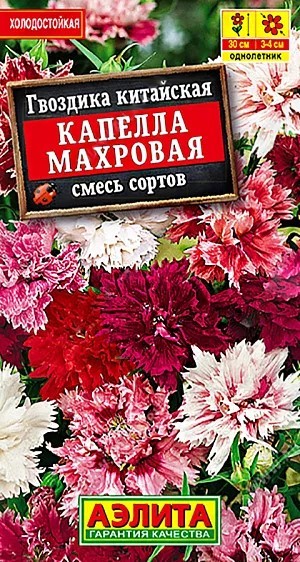 Гвоздика Капелла китайская махровая 0,1гр Аэлита