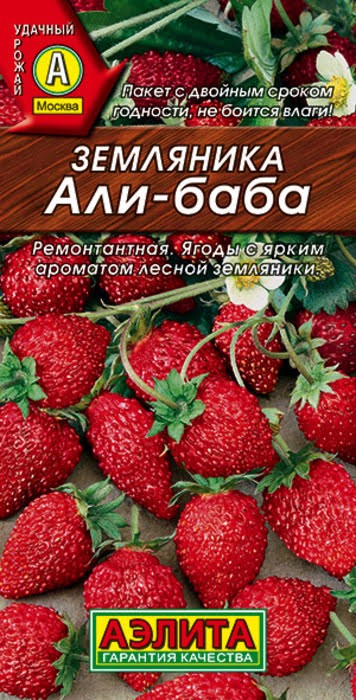 Земляника ремонт. Али-Баба 0,04г Аэлита