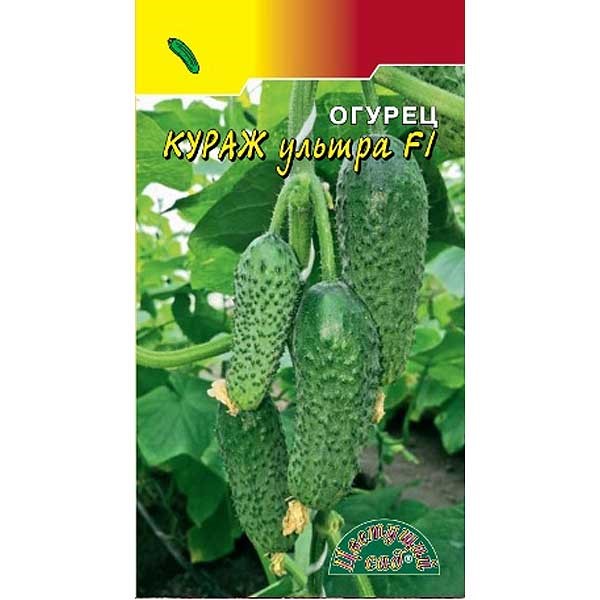 Огурец Кураж ультра Цвет Сад