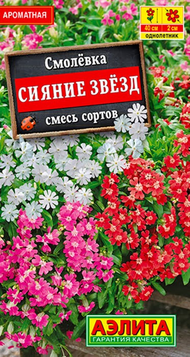 Смолевка Сияние звезд смесь 0,1 гр/10