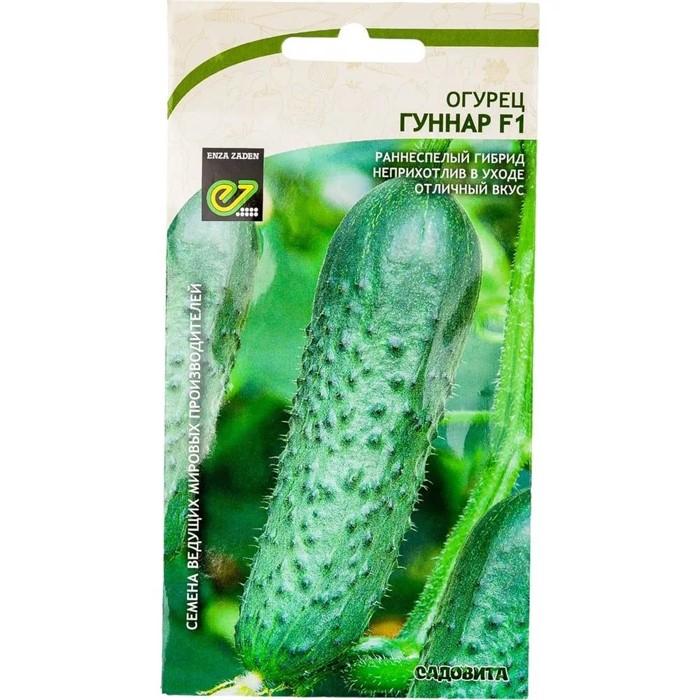 Огурец Гуннар F1 5шт Enza Zaden/Садовита