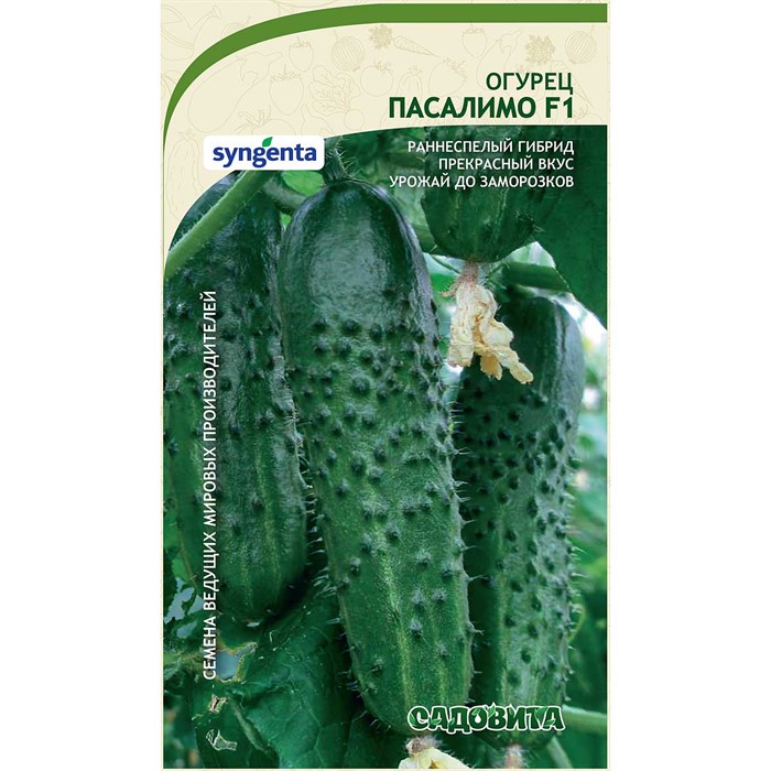 Огурец Пасалимо F1 5шт Syngenta/Садовита