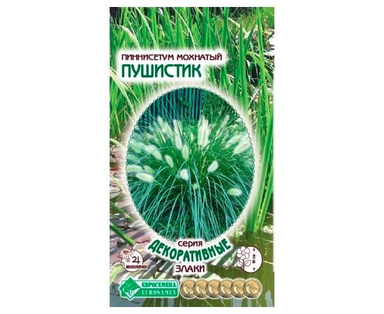 Пиннисетум Мохнатый ПУШИСТИК ЕвроБ многолетн