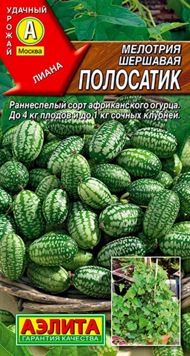 Мелотрия (Мышиная дыня) Полосатик 10 шт Аэлита