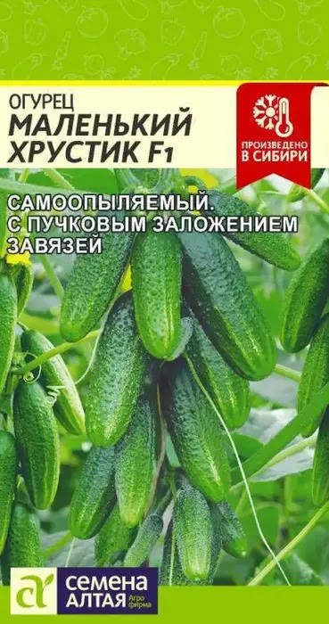 Огурец Маленький Хрустик F1 5-6шт Семена Алтая