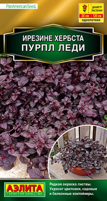 Ирезине Пурпл леди 5 шт Аэлита