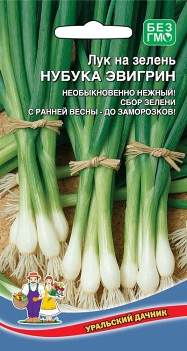 Лук на зелень Нубука Эвигрин 0,25 г. (УД)