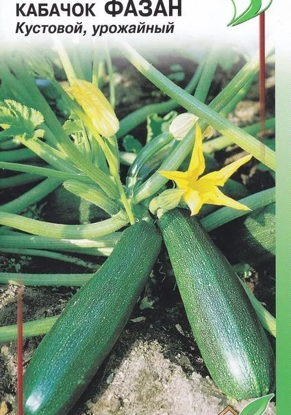 Кабачок Фазан 14шт СС