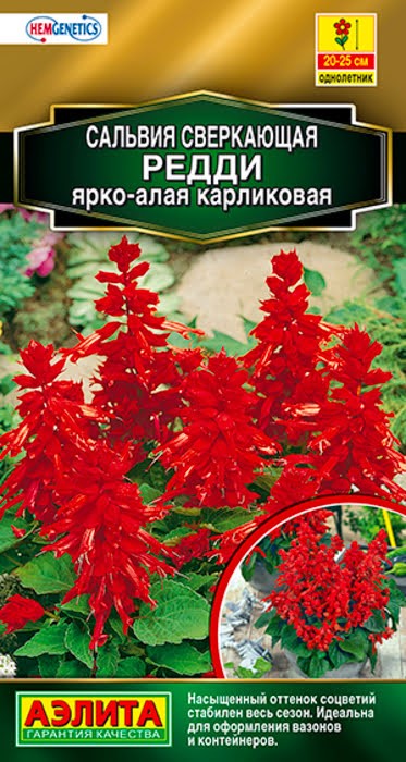 Сальвия Редди ярко-алая карликовая 7шт Аэлита