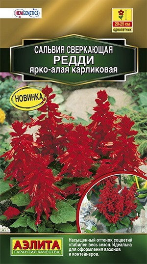 Сальвия Редди карликовая смесь окрасок 7шт Аэлита