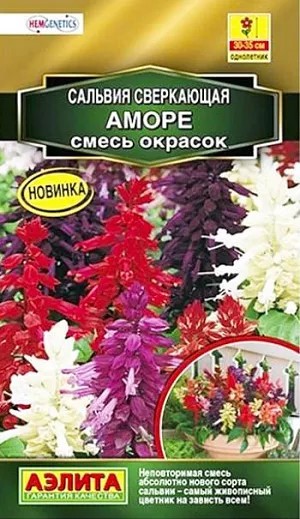 Сальвия Аморе смесь окрасок 7шт Аэлита
