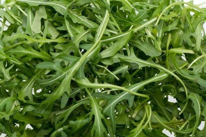 Рукола дикая Амаретто 0,5г НК