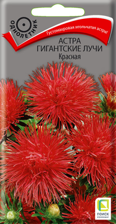 Астра Гигантские лучи Красная 0,3гр ПЦц