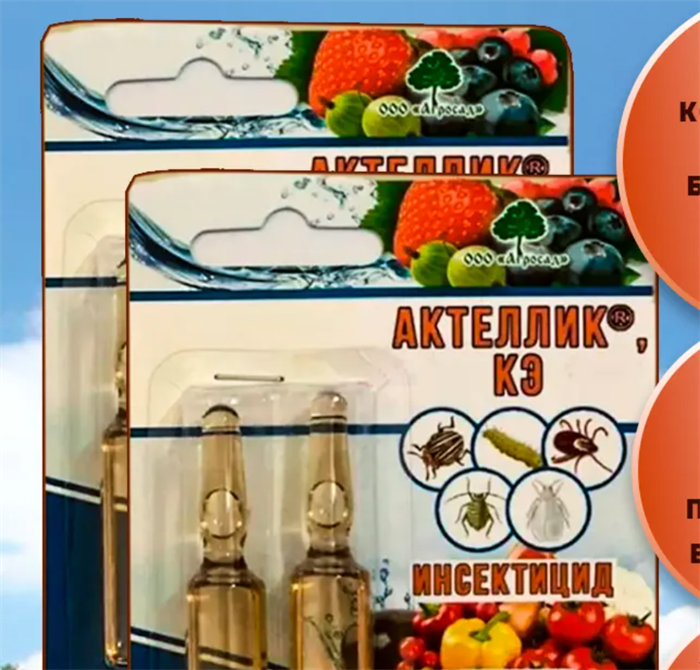 Актеллик 5мл инсектицид от вредителей