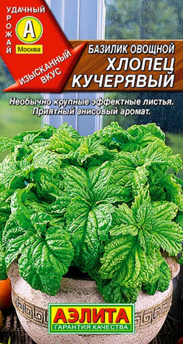Базилик Хлопец кучерявый овощной 0,2-0,3гр Аэлита