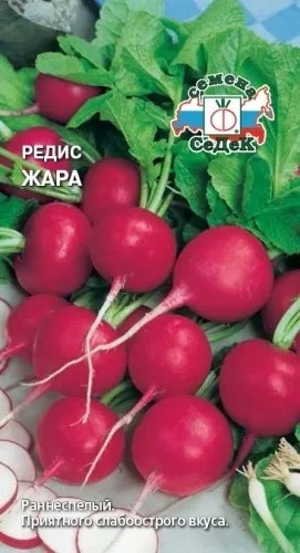 Редис Жара 3гр Седек