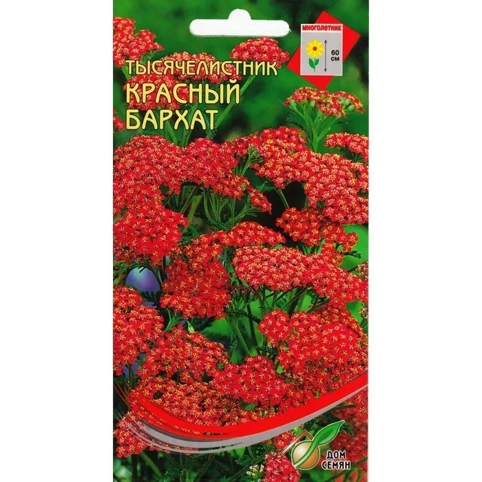 Тысячелистник Красный бархат 250шт Дом семян