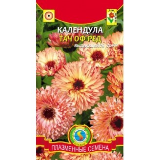 Календула Тач оф Ред Плазм однолетн,густомахр,45см