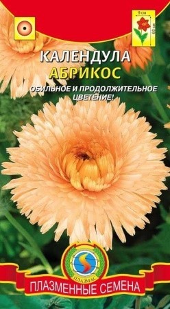 Календула Абрикос Плазм махр,60см