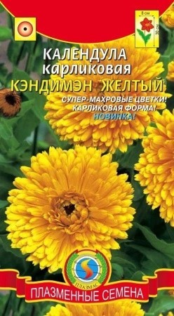 Календула Кэндимэн Желтый Плазм карлик, супермахр, 30см