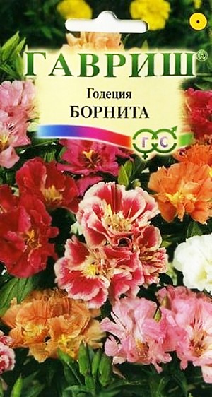 Годеция Борнита 0,1г ГШ