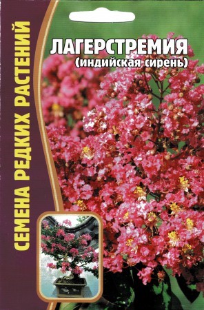 Лагерстремия 7шт ЧК
