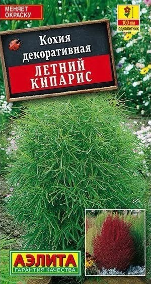 Кохия Летний кипарис 0,3гр Аэлита