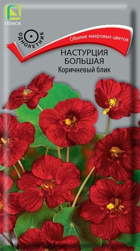 Настурция большая Коричневый блик 1гр Поиск