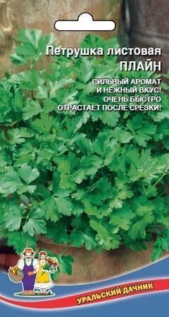 Петрушка Плайн листовая 2гр Ур. дачник