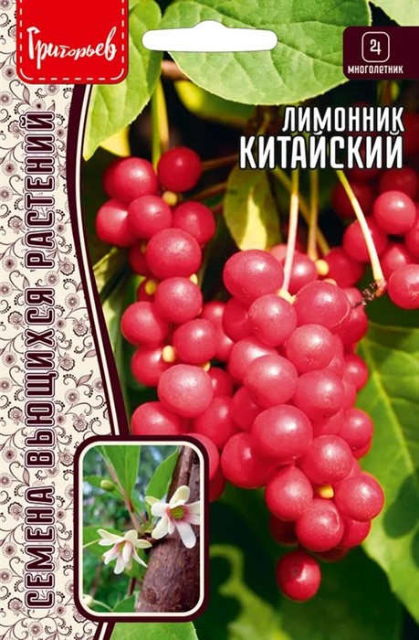 Лимонник Schizandra chinensis китайский 5шт ЧК