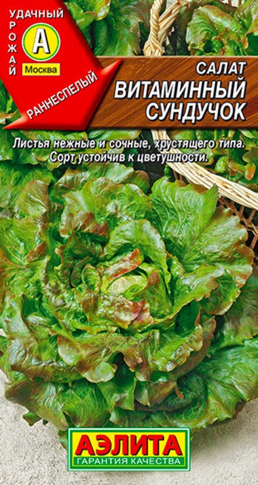 Салат Витаминный сундучок п/кочанный 0,5гр /10