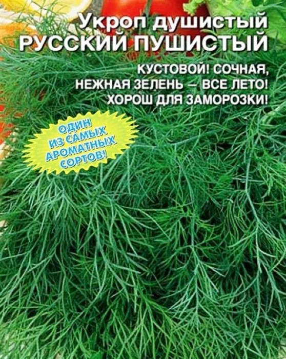 Укроп Душистый Русский пушистый 1гр Listok
