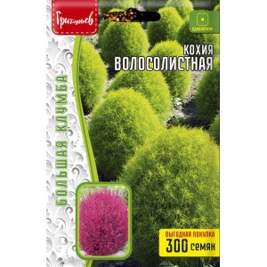 Кохия Волосолистная 300шт ЧК