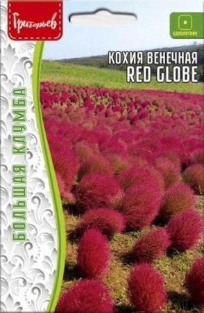 Кохия Red Globe венечная 0,1 ЧК