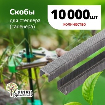 Скобы д/ степлера (тапенера) 'Урожайная сотка' 10 000 шт SC-8901