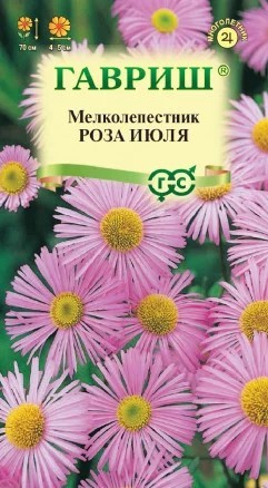 Мелколепестник (Эригерон) Роза июля Гавриш