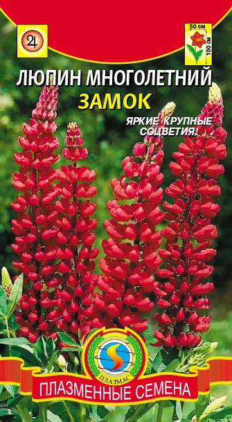 Люпин Замок Плазма