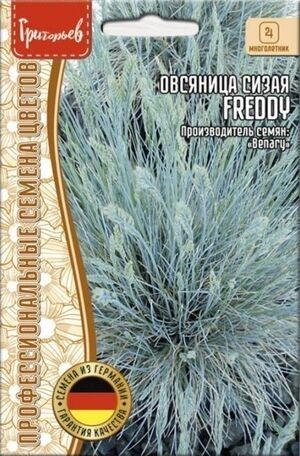 Овсяница сизая Фредди Григорьев