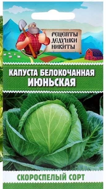 Капуста белокочанная "Июньская", 0,5 г 10245106 Рецепты Дедушки Никиты