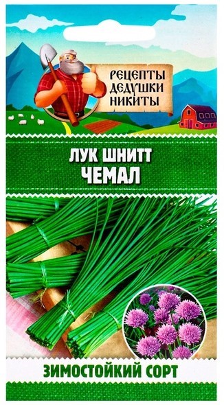 Лук шнитт "Чемал", 0,2 г 10781768 Рецепты Дедушки Никиты